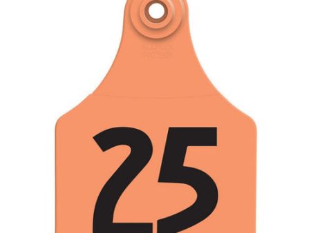 Allflex Global Large Numbered Tags 1-25 Orange 1 Count by Allflex For Cheap