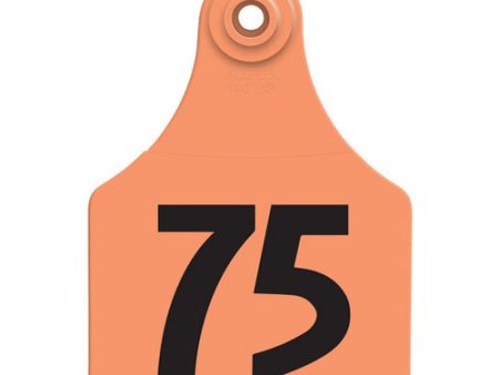 Allflex Global Large Numbered Tags 51-75 Orange 1 Count by Allflex Online Sale