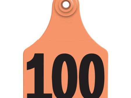 Allflex Global Large Numbered Tags 76-100 Orange 1 Count by Allflex Fashion