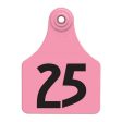 Allflex Global Large Numbered Tags 1-25 Pink 1 Count by Allflex Hot on Sale