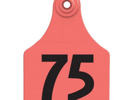 Allflex Global Large Numbered Tags 51-75 Red 1 Count by Allflex For Discount