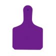 Y-Tex Blank Calf Y-Tag Ear Tags Purple 25 s 1 Count by Y-Tex Online Hot Sale