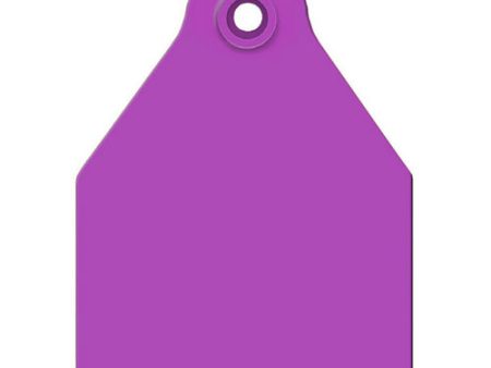 AgriLabs Large Blank AgriTags Purple 25 s 1 Count by Agritags Online