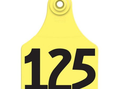 Allflex Global Large Numbered Tags 101-125 Yellow 1 Count by Allflex For Discount