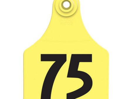 Allflex Global Large Numbered Tags 51-75 Yellow 1 Count by Allflex For Cheap