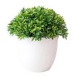 Artificial Green Plant Small Tree For Cheap