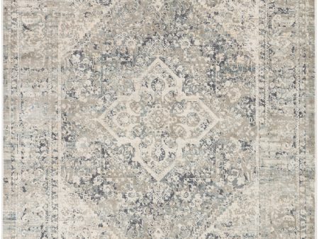 Jaipur Living Caicos Kiev CAI06 Gray Ivory Area Rug Sale