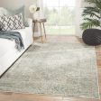 Jaipur Living Caicos Kiev CAI06 Gray Ivory Area Rug Sale