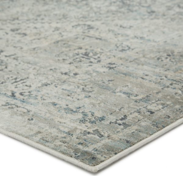 Jaipur Living Caicos Kiev CAI06 Gray Ivory Area Rug Sale